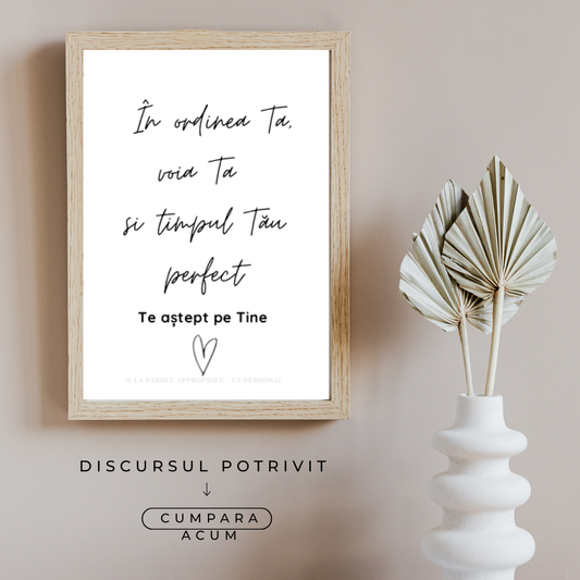 Poster creștin minimalist cu citat în limba română despre încrederea în voia și timpul perfect al lui Dumnezeu